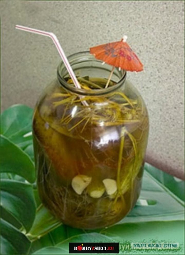Mojito po rosyjsku