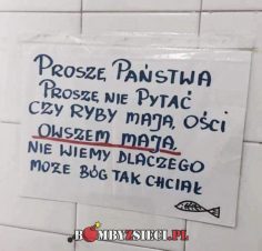 To jeszcze świątecznie…