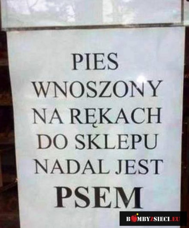 Pies jaki jest każdy widzi