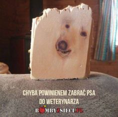 Chyba już czas