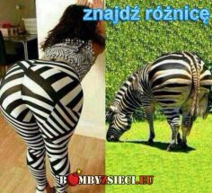 Znajdź różnicę